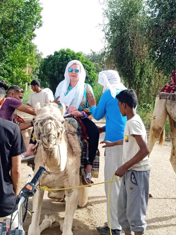 Moon Valley Apartments Luxor Bagian luar foto